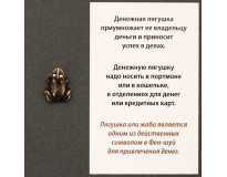 Талисман Денежная Лягушка Бронзовое покрытие Талисман Денежная Лягушка Бронзовое покрытие